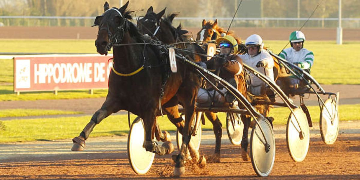 Quinté du mercredi 1er octobre 2025 à Angers: les pronostics