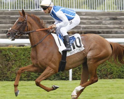 Quinté du mardi 2 septembre 2025 à Saint-Cloud: les pronostics