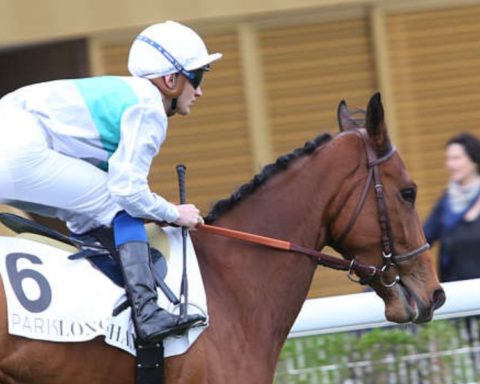 Quinté du jeudi 4 septembre 2025 à Longchamp: les pronostics