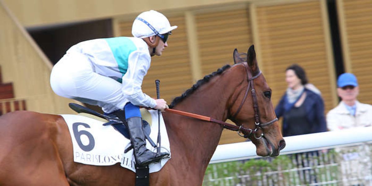 Quinté du jeudi 4 septembre 2025 à Longchamp: les pronostics