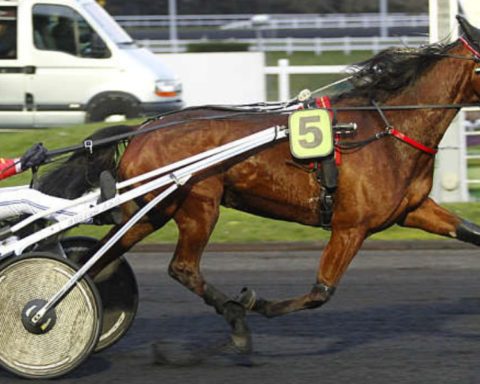 Quinté du vendredi 5 septembre 2025 à Vincennes: les pronostics