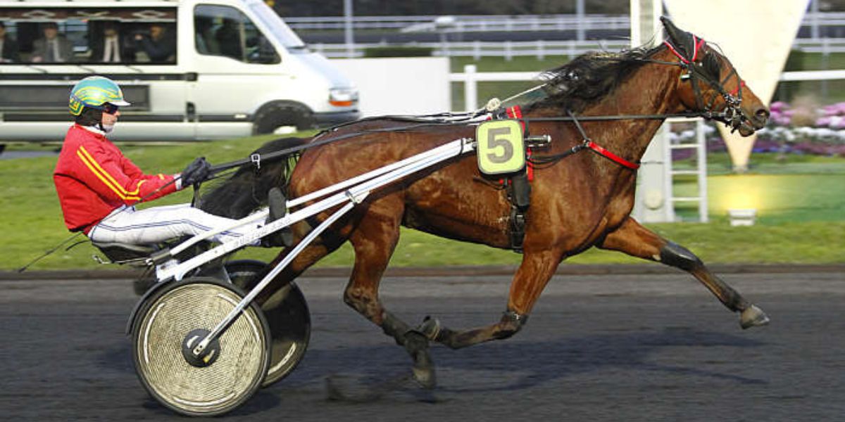 Quinté du vendredi 5 septembre 2025 à Vincennes: les pronostics