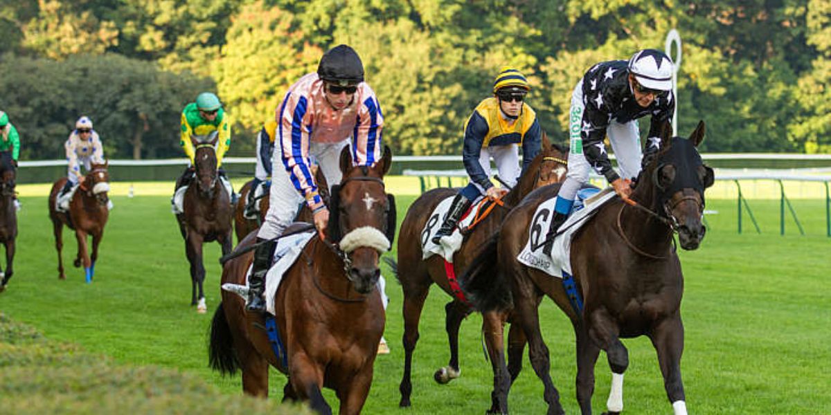 Quinté du dimanche 7 septembre 2025 à Longchamp: les pronostics