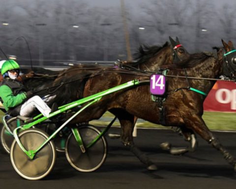 Quinté du lundi 8 septembre 2025 à Craon: les pronostics