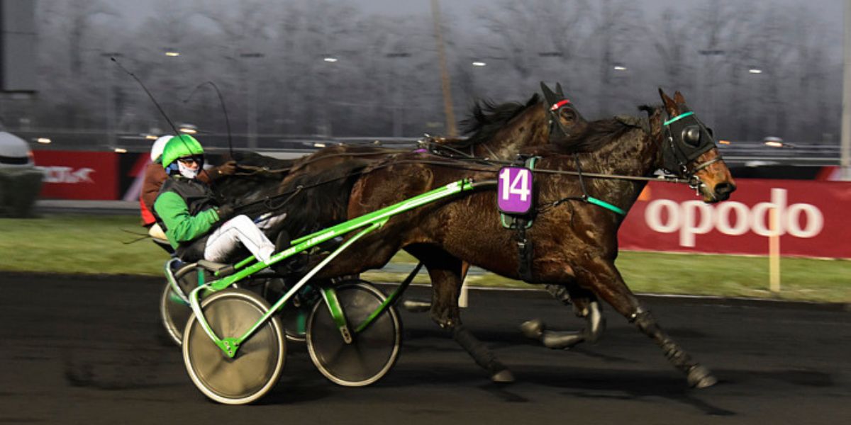 Quinté du lundi 8 septembre 2025 à Craon: les pronostics