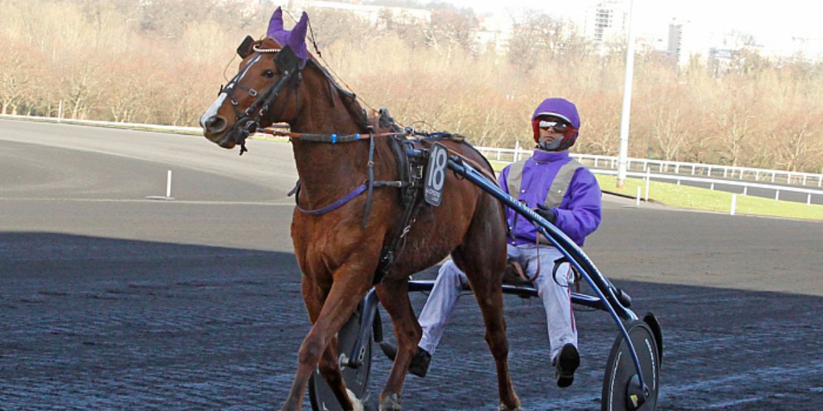 Quinté du mercredi 10 septembre 2025 à Meslay-du-Maine: les pronostics