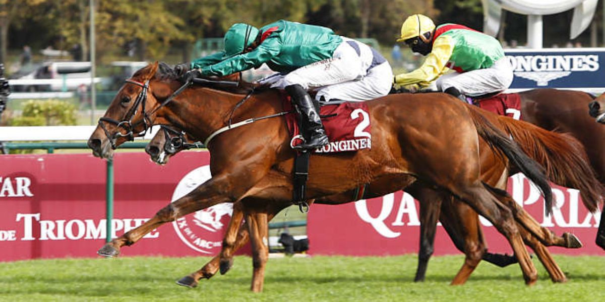 Quinté du jeudi 11 septembre 2025 à Longchamp: les pronostics