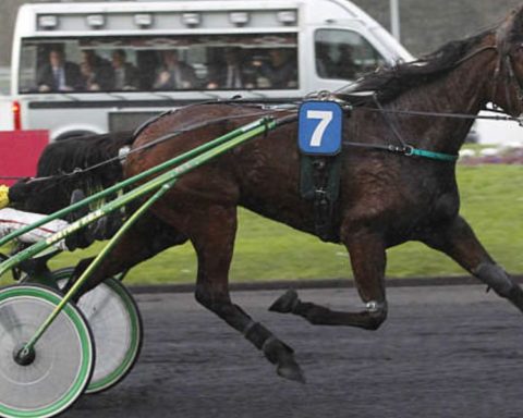 Quinté du vendredi 12 septembre 2025 à Vincennes: les pronostics