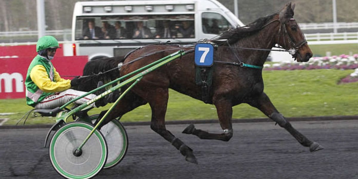 Quinté du vendredi 12 septembre 2025 à Vincennes: les pronostics