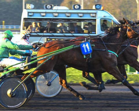 Quinté du samedi 13 septembre 2025 à Vincennes: les pronostics