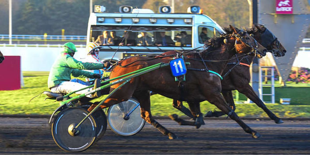 Quinté du samedi 13 septembre 2025 à Vincennes: les pronostics