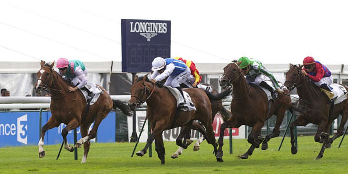 Quinté du dimanche 14 septembre 2025 à Longchamp: les pronostics