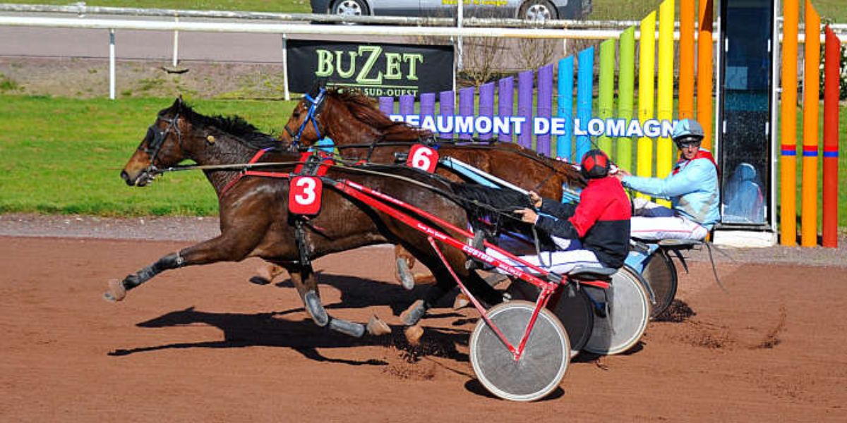 Quinté du lundi 15 septembre 2025 à Agen: les pronostics