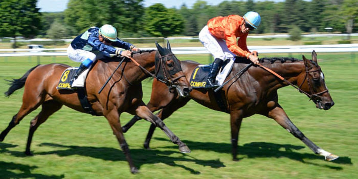 Quinté du mardi 16 septembre 2025 à Compiègne: les pronostics