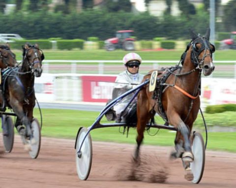 Quinté du mercredi 17 septembre 2025 à Lyon Parilly: les pronostics