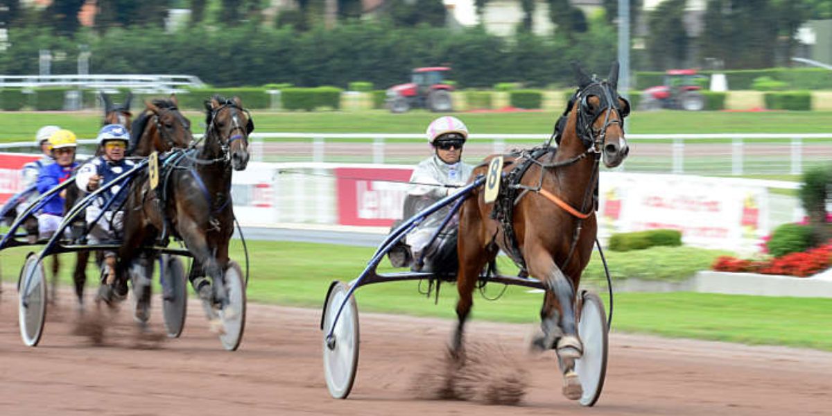 Quinté du mercredi 17 septembre 2025 à Lyon Parilly: les pronostics