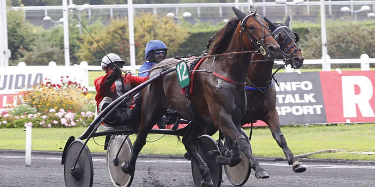 Quinté du jeudi 18 septembre 2025 à Vincennes: les pronostics