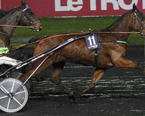 Quinté du vendredi 19 septembre 2025 à Vincennes: les pronostics