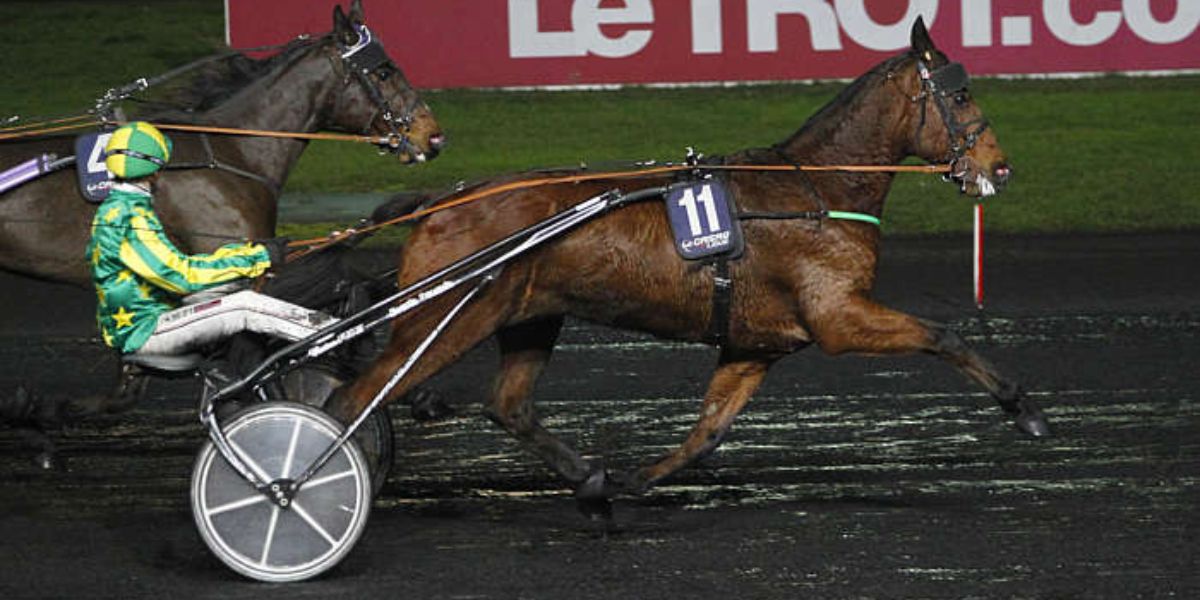 Quinté du vendredi 19 septembre 2025 à Vincennes: les pronostics