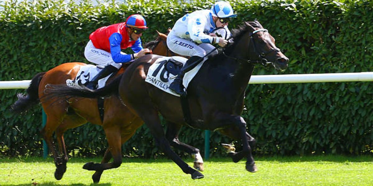 Quinté du samedi 20 septembre 2025 à Chantilly: les pronostics