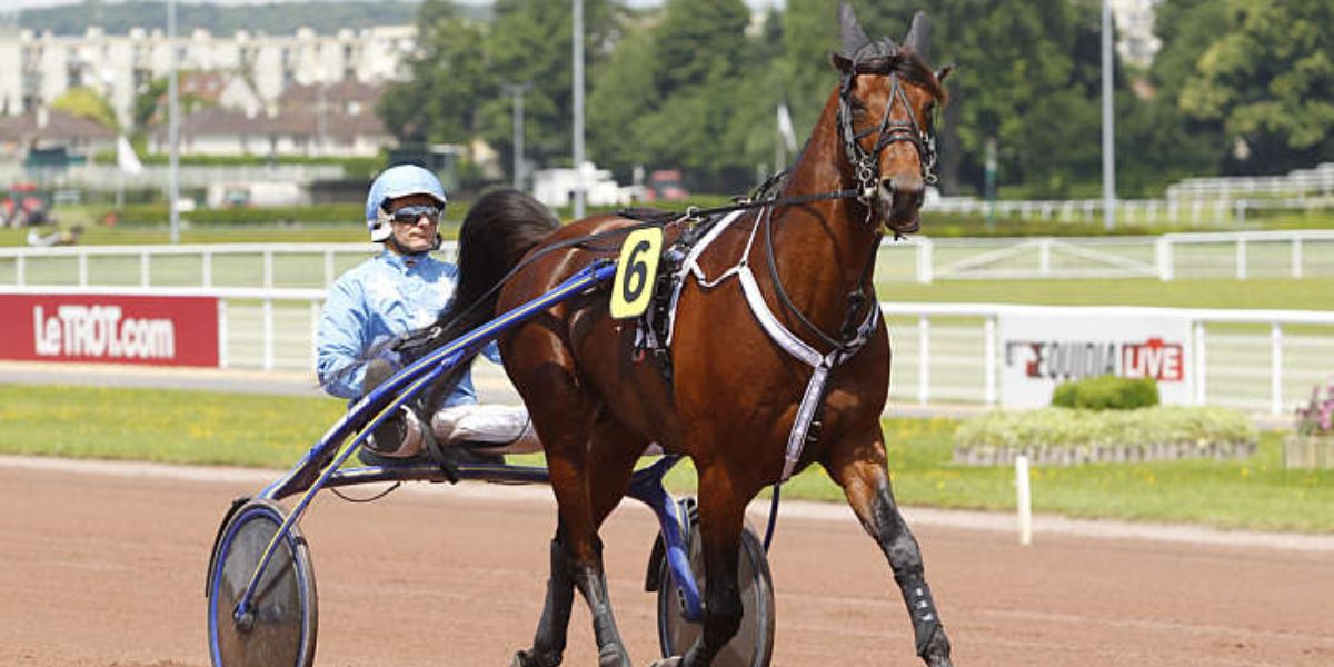 Quinté du lundi 22 septembre 2025 à La Capelle: les pronostics