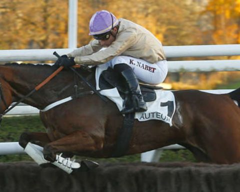 Quinté du mardi 23 septembre 2025 à Auteuil: les pronostics