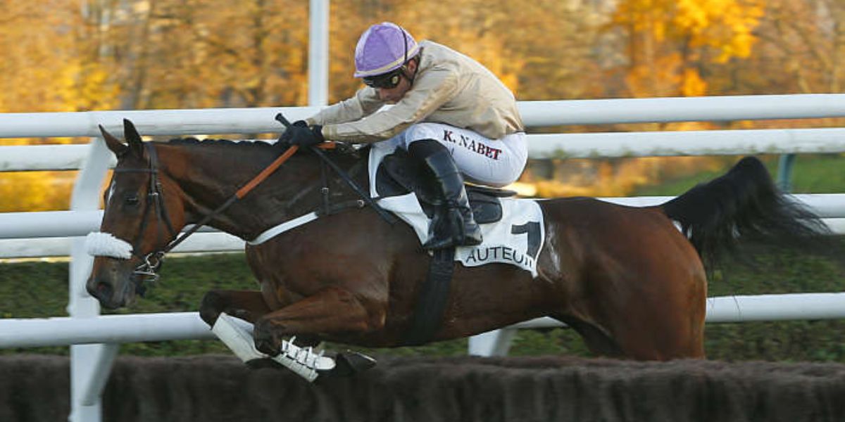 Quinté du mardi 23 septembre 2025 à Auteuil: les pronostics