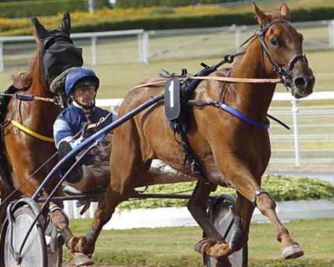 Quinté du mercredi 24 septembre 2025 à Lisieux: les pronostics