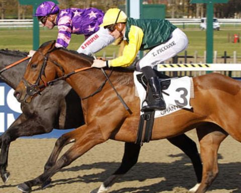 Quinté du jeudi 25 septembre 2025 à Chantilly: les pronostics