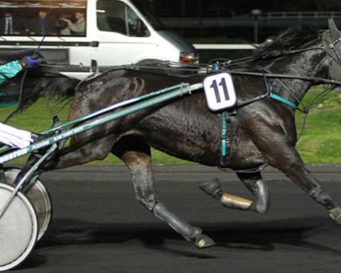 Quinté du vendredi 26 septembre 2025 à Vincennes: les pronostics
