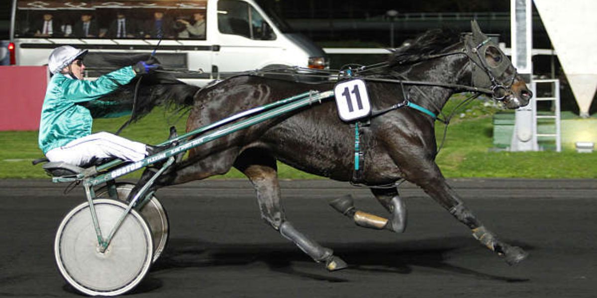 Quinté du vendredi 26 septembre 2025 à Vincennes: les pronostics