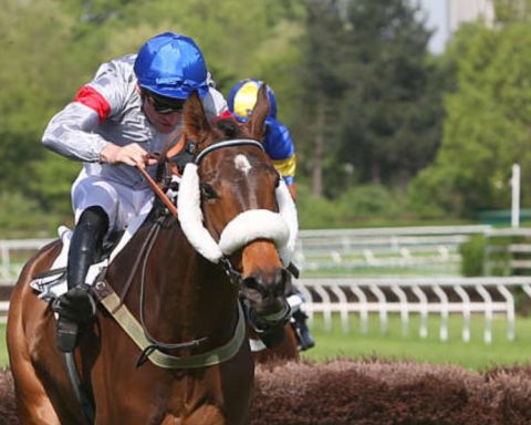 Quinté du samedi 27 septembre 2025 à Auteuil: les pronostics