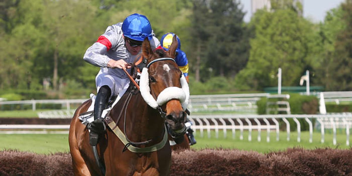 Quinté du samedi 27 septembre 2025 à Auteuil: les pronostics