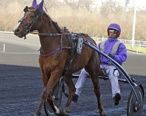 Quinté du dimanche 28 septembre 2025 à Vincennes: les pronostics