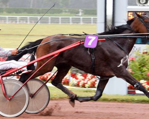 Quinté du lundi 29 septembre 2025 à Enghien: les pronostics
