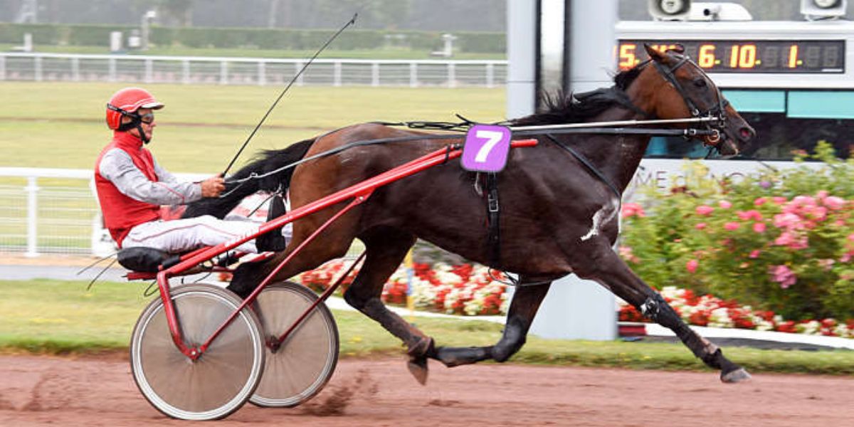 Quinté du lundi 29 septembre 2025 à Enghien: les pronostics