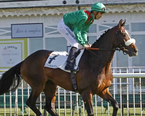 Quinté du mardi 30 septembre 2025 à Chantilly: les pronostics