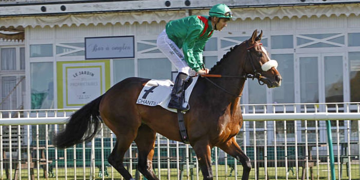 Quinté du mardi 30 septembre 2025 à Chantilly: les pronostics