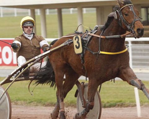 Quinté du samedi 1er novembre 2025 à Laval: les pronostics