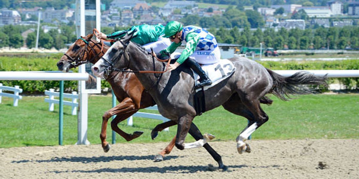 Quinté du dimanche 2 novembre 2025 à Deauville: les pronostics