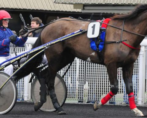 Quinté du vendredi 3 octobre 2025 à Vincennes: les pronostics