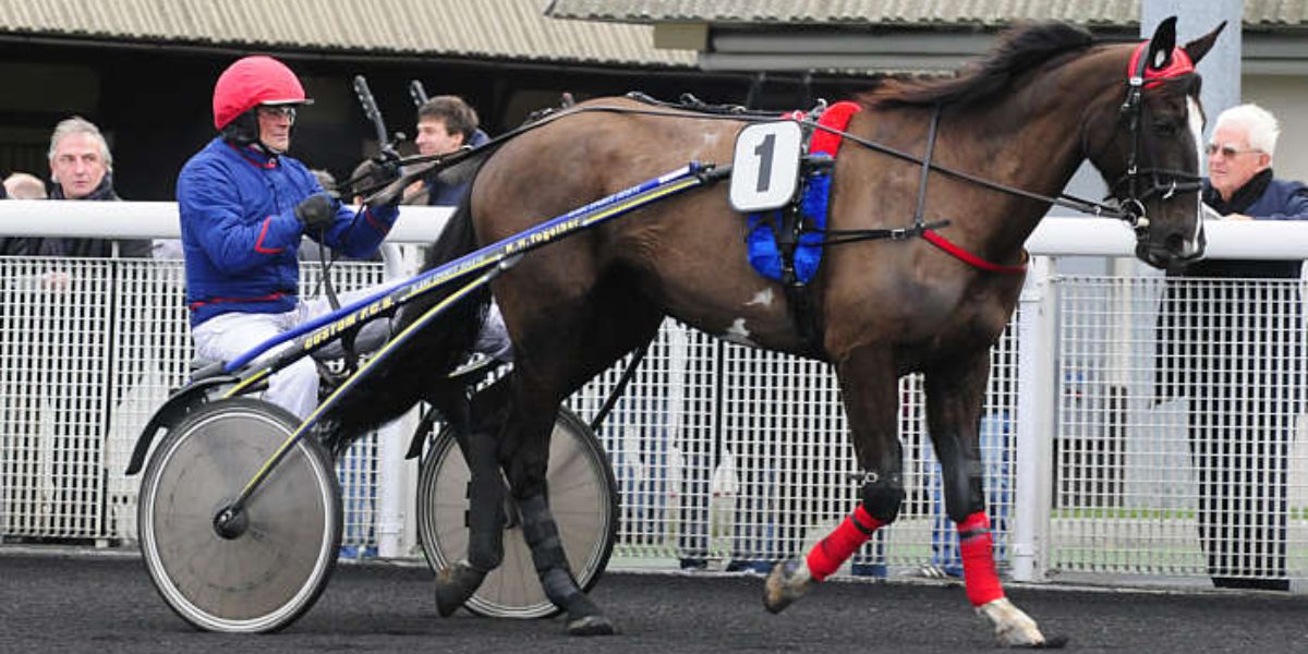 Quinté du vendredi 3 octobre 2025 à Vincennes: les pronostics