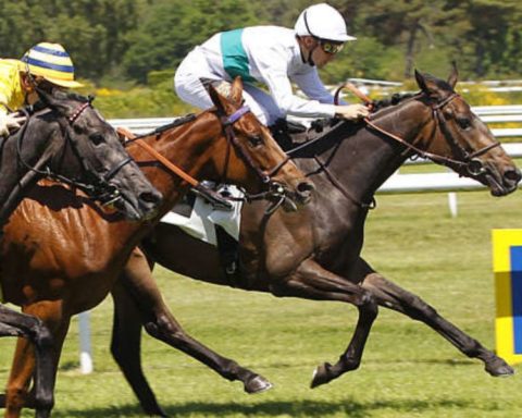 Quinté du lundi 3 novembre 2025 à Fontainebleau: les pronostics