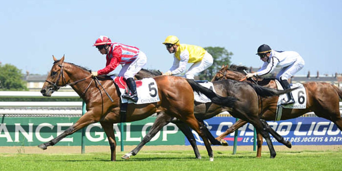 Quinté du samedi 4 octobre 2025 à Longchamp: les pronostics