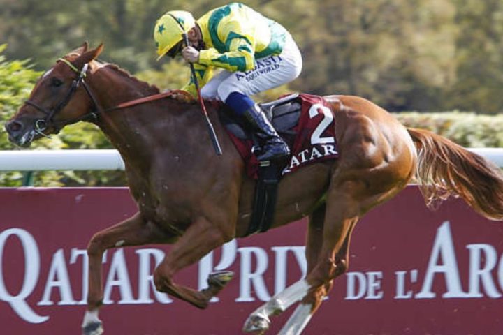 Quinté du dimanche 5 octobre 2025 à Longchamp: les pronostics