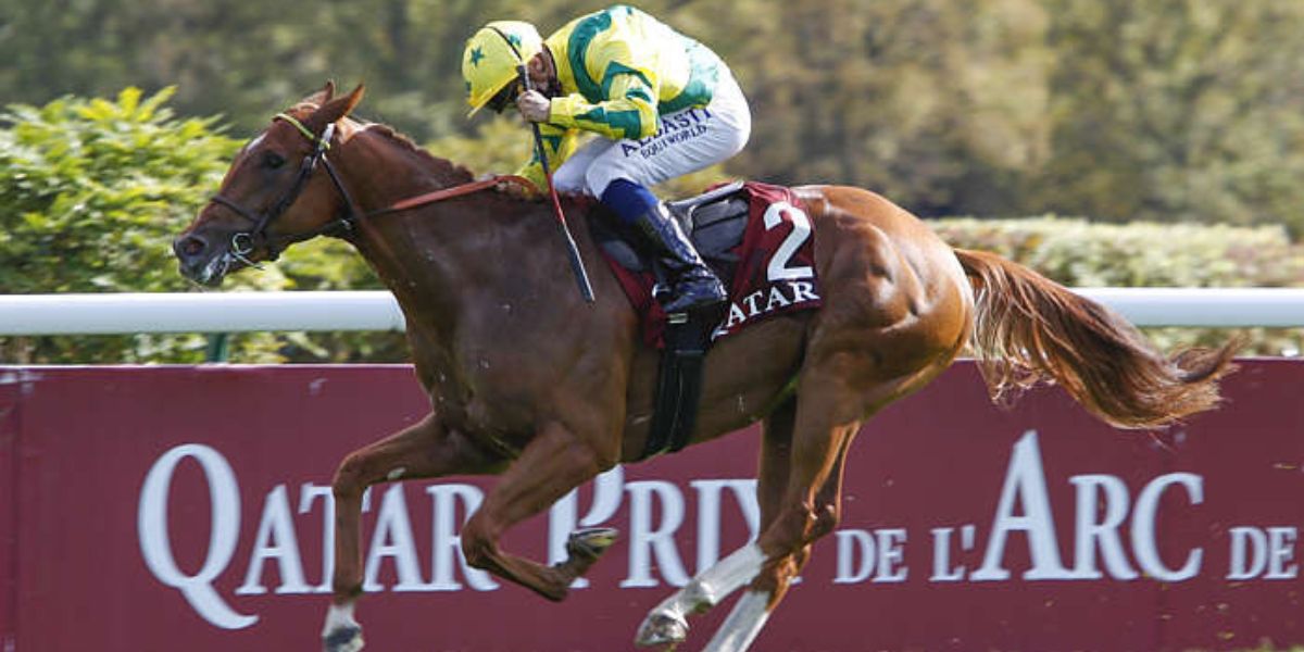 Quinté du dimanche 5 octobre 2025 à Longchamp: les pronostics
