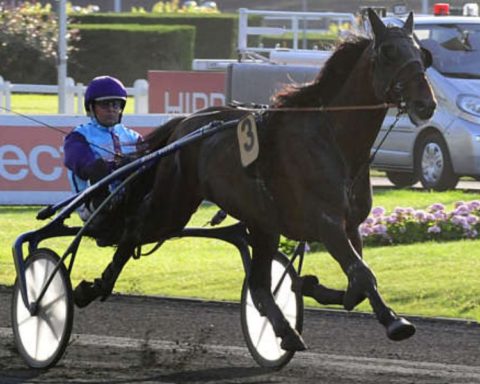Quinté du lundi 6 octobre 2025 à Enghien: les pronostics