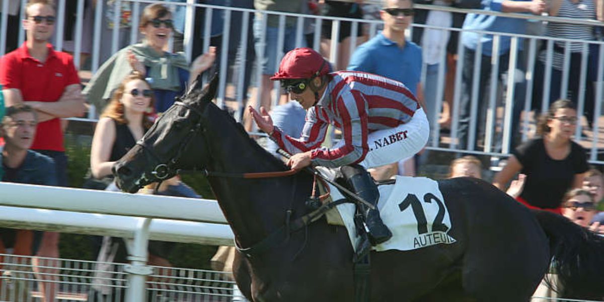 Quinté du mardi 7 octobre 2025 à Auteuil: les pronostics