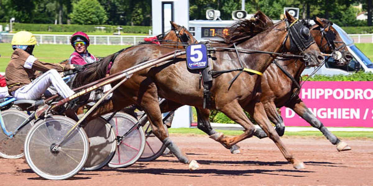 Quinté du mercredi 8 octobre 2025 à Enghien: les pronostics