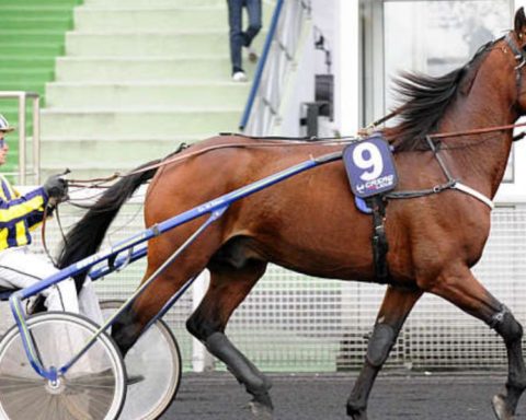 Quinté du vendredi 10 octobre 2025 à Vincennes: les pronostics
